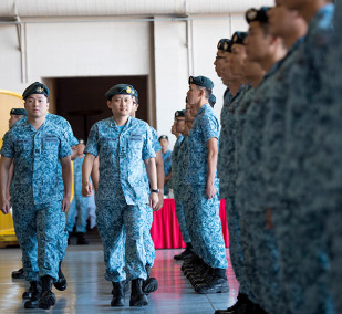 425th Fighter Squadron celebrates 25 years at Luke - The Thunderbolt ...